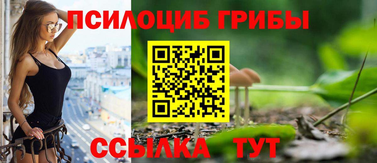 Галлюциногенные грибы Psilocybe Новошахтинск